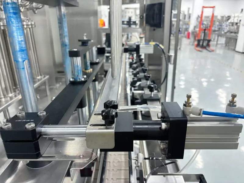 Servo Piston Filling Machine Working Area